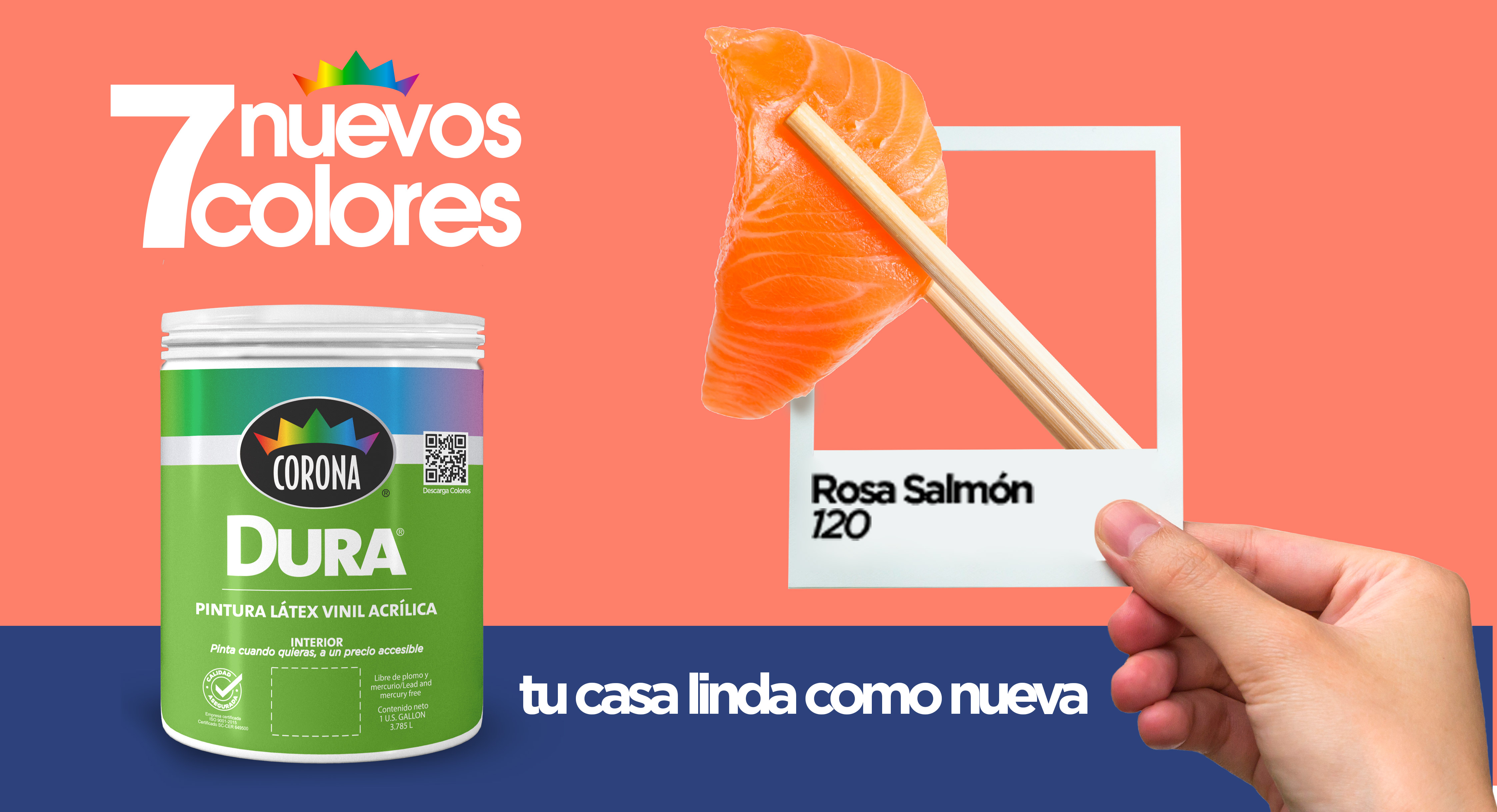 CO 7colores Web1